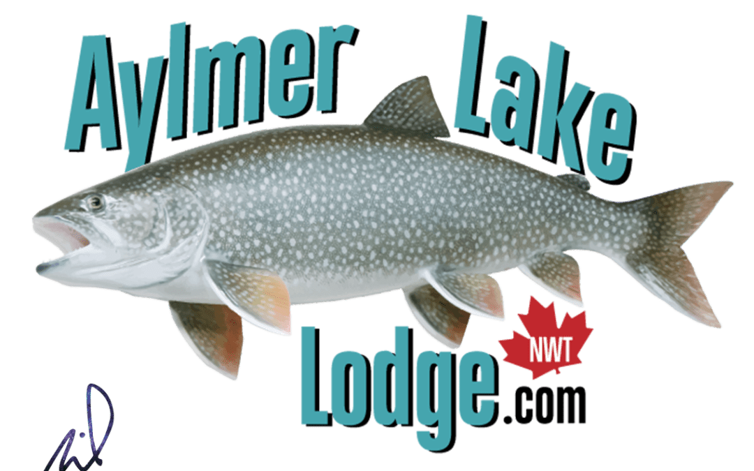 Aylmer Lake Lodge